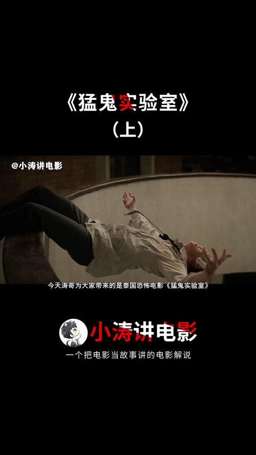 猛鬼实验室,探寻恐怖现象背后的科学真相