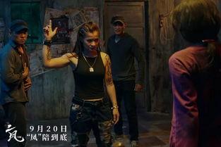 武驰人生2之飓风营救,跨国救援，热血激战