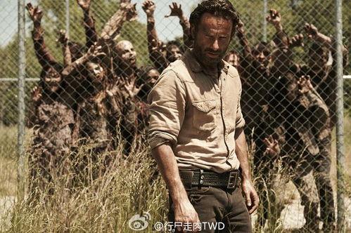 行尸走肉 第四季,生死边缘的绝望求生之旅