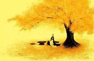 因为没有来生,探寻生命终结后的世界奥秘