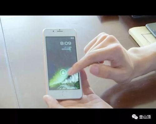 狸猫焉能换太子,宫廷秘闻背后的权谋与爱恨