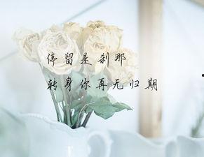 转身再无归期,一段未完的旅程